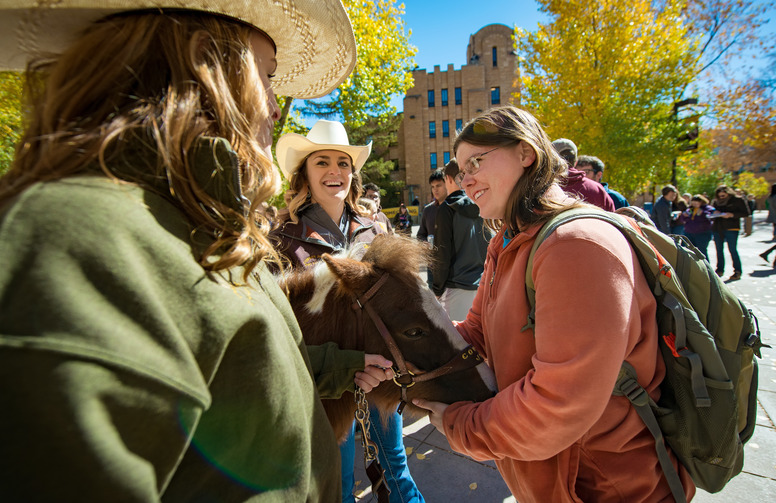 Three students pet the UW horse mascot 'Cowboy Joe' in front of the Wyoming Union.