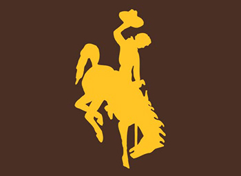 bucking horse icon