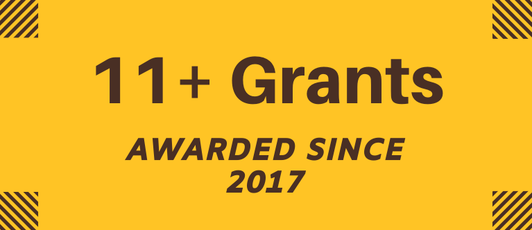 Over 11 grants have been awarded to the CEDAR lab since 2017