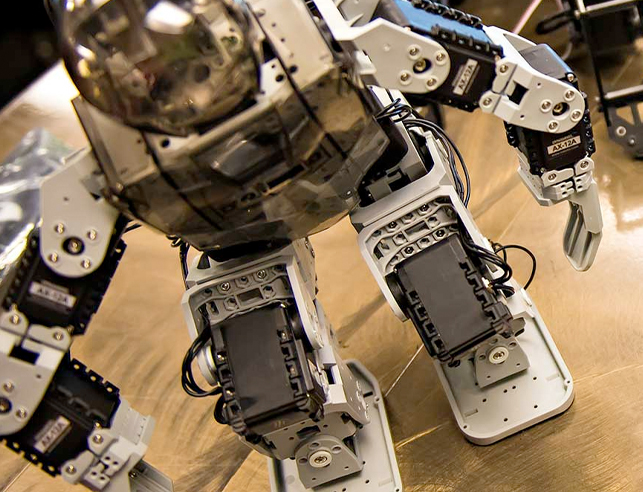 Robot