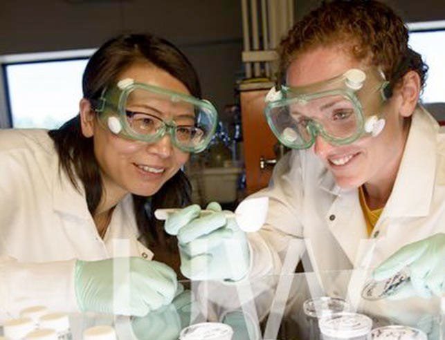 Two female students working in lab