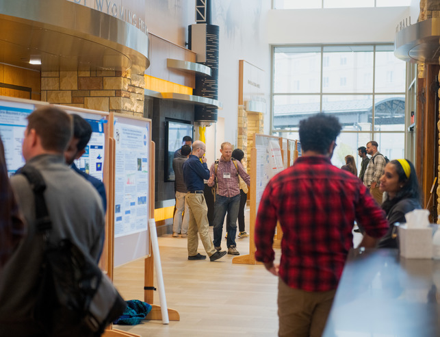 People looking at poster presentations