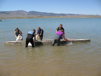 Swamping the Canoe