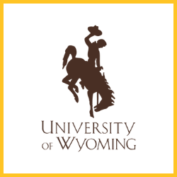 UW logo brown uw logo with steamboat bucking horse and square yellow border