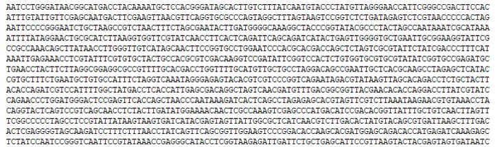 Genetic Code Segments