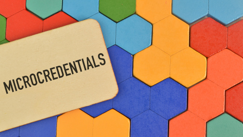 Microcredentials logo colorful puzzle piece logo