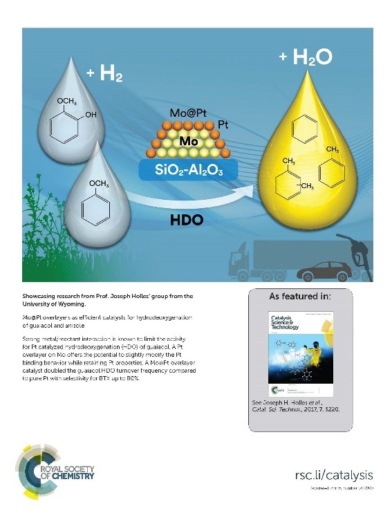 catalysis science and tech