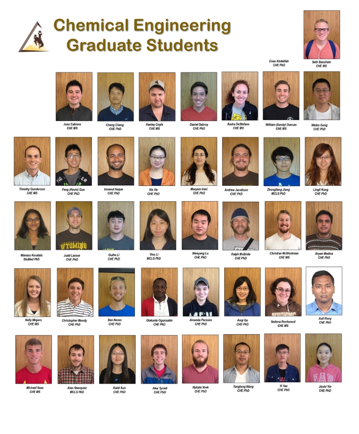 Chemical Engineering Graduate Students