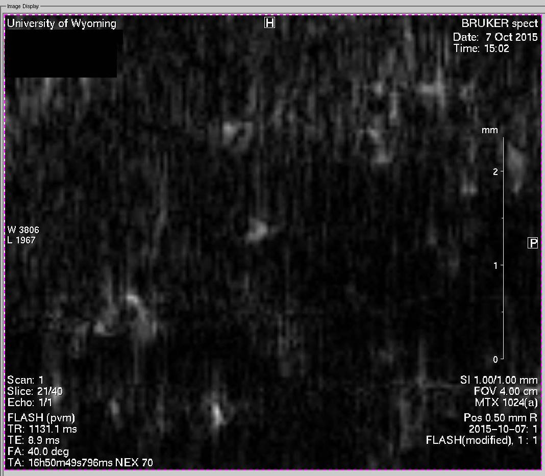 mri-rock-like