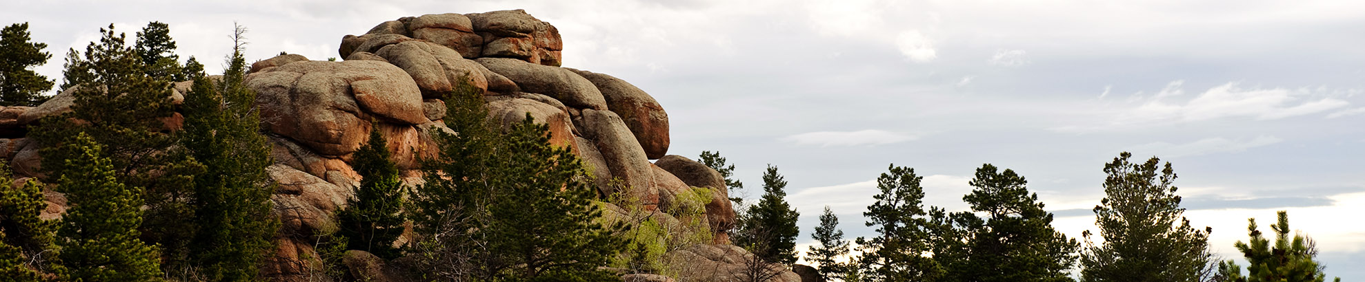 rocks and trees at vedauwoo