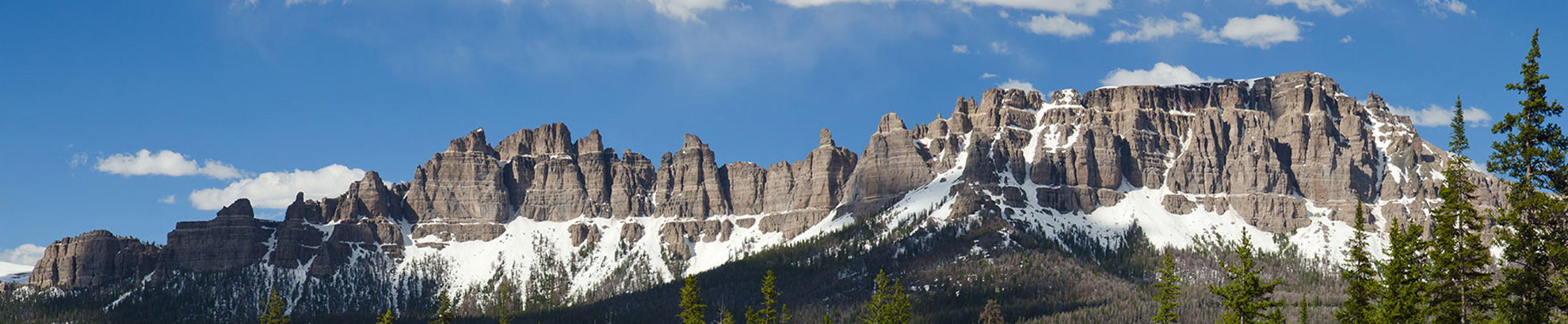 Mountains with trees