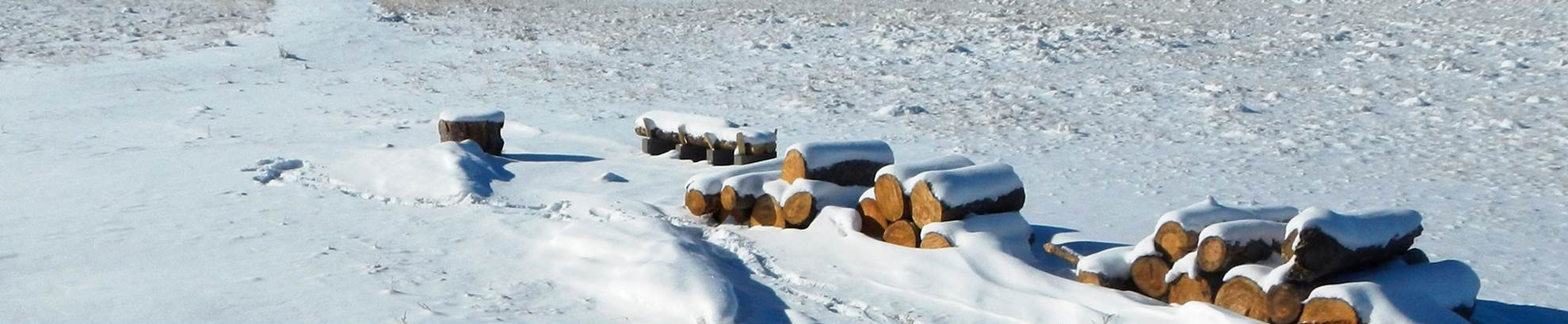snowy field with logs