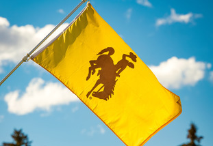 UW flag