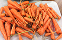 Carrot harvest from the Natrona County Garden