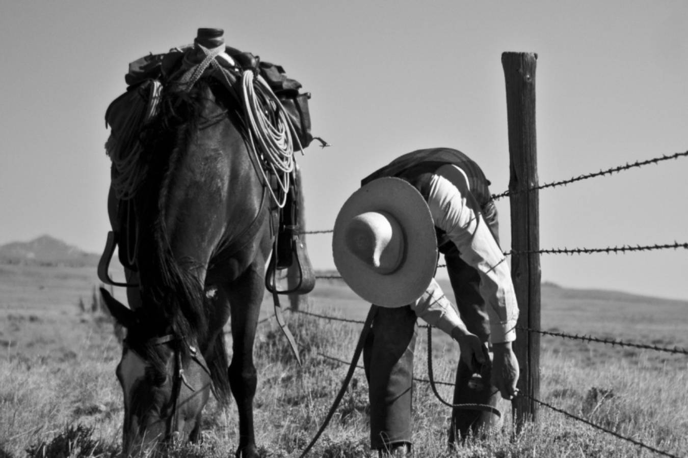 A cowboy and a horse next to a fence