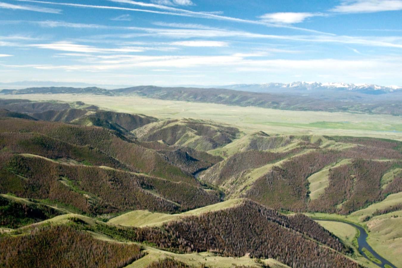 Green hills