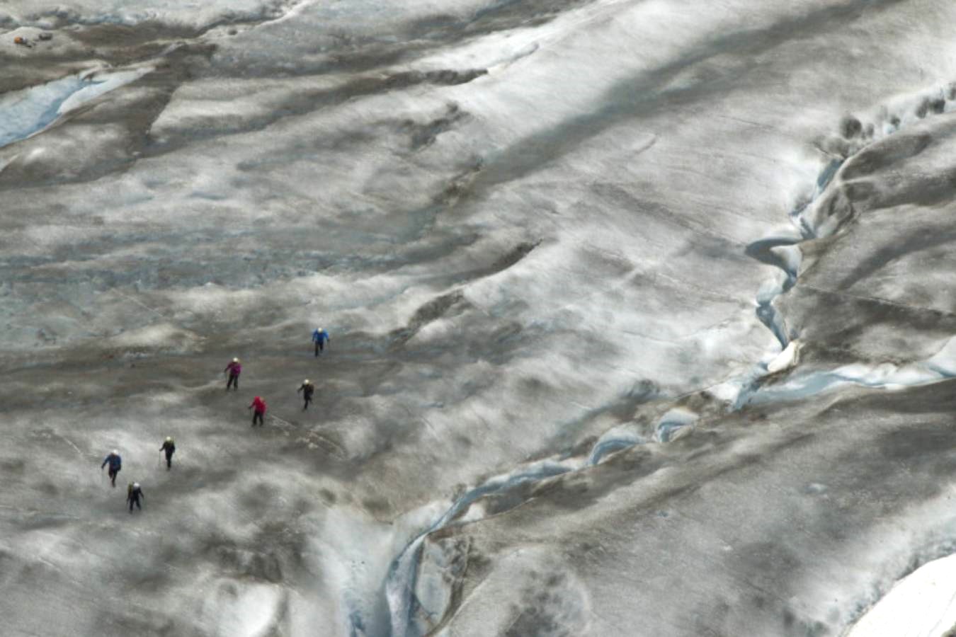 A small group of people in a vast icefield