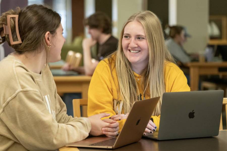 Two students studying together