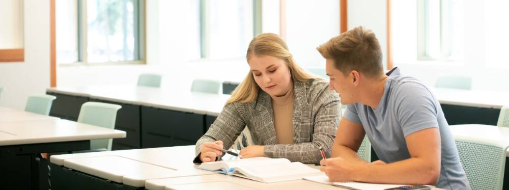 Two students studying together