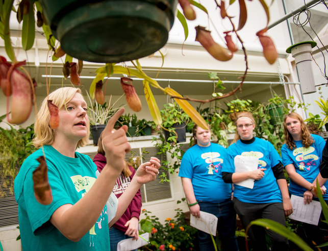 A group of conservatory users look at beans on a tree.