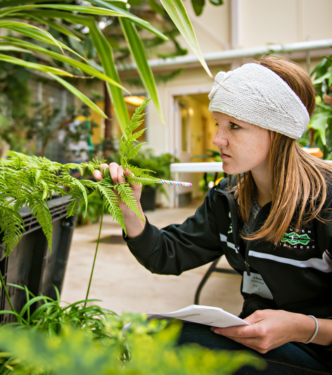 A student inspects a conservatory plant