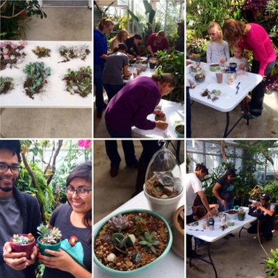 A collage of pictures of people making succulent arrangements at a succulent workshop