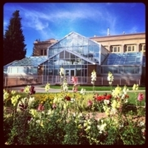 Image of front of the Williams Conservatory from the sidewalk