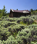 Cabin in a field