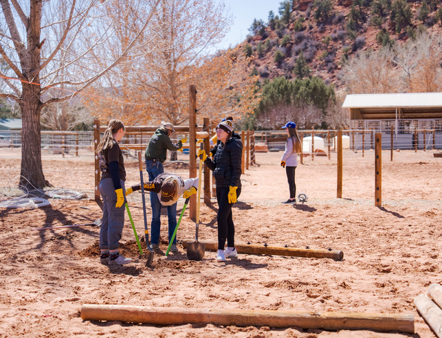 Students planting a tree