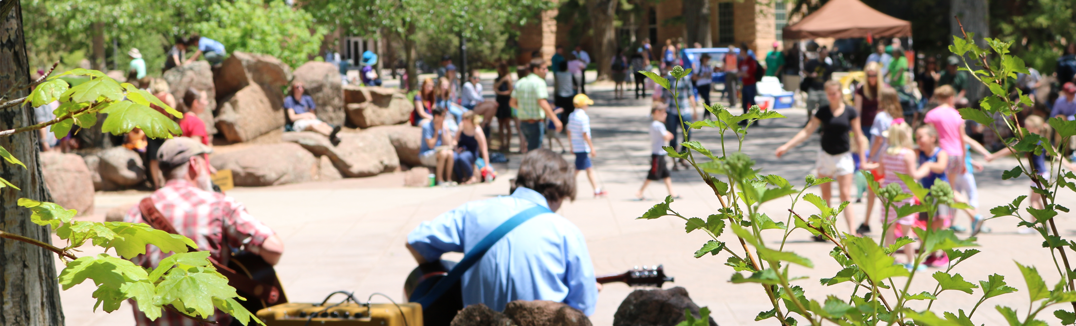 Band performing outside