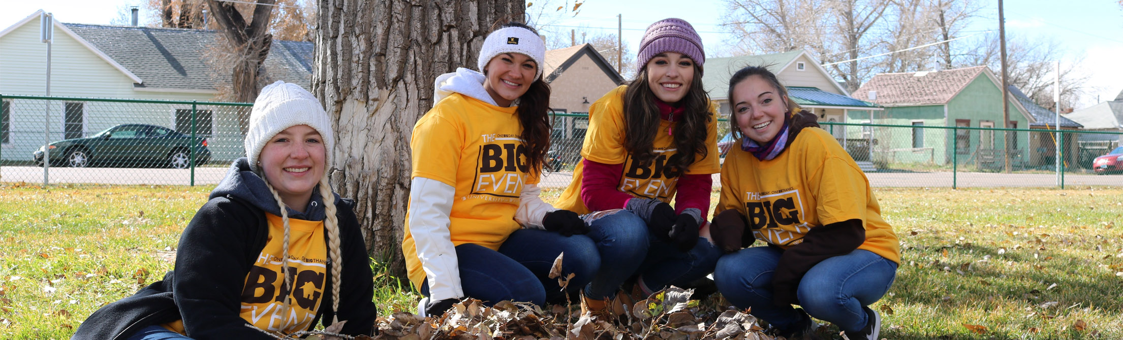 Photo of students volunteering