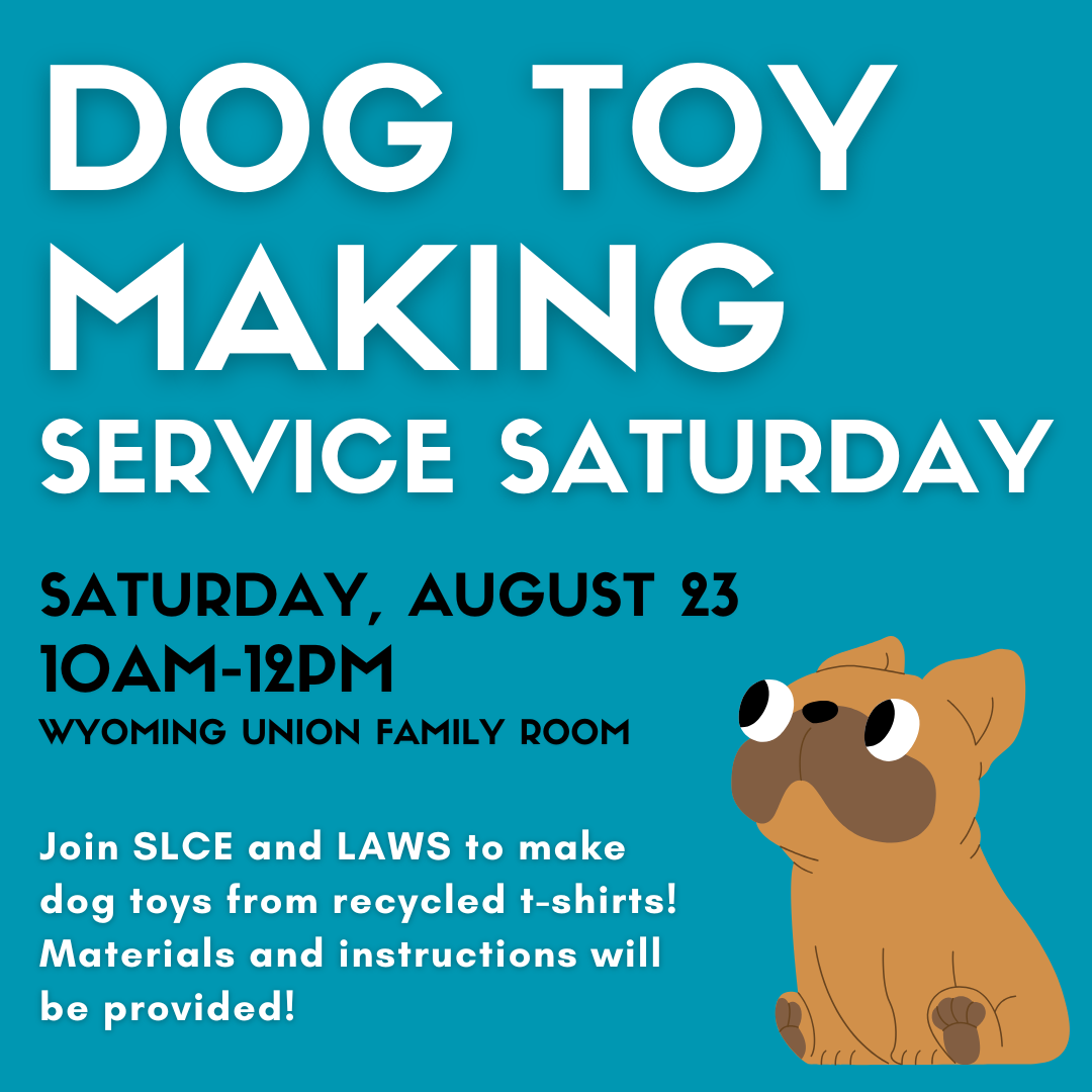 dog toy making service saturday