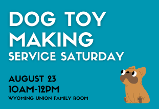 Dog Toy Making Service Saturday