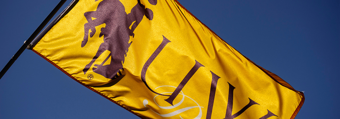 UW Banner waiving in wind