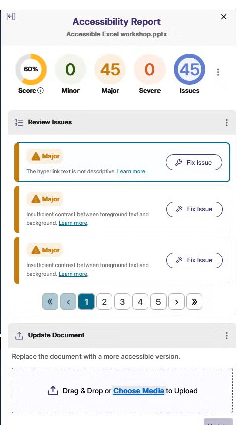 panorama accessibility report