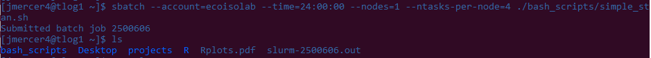 Terminal window image showing the output of a command