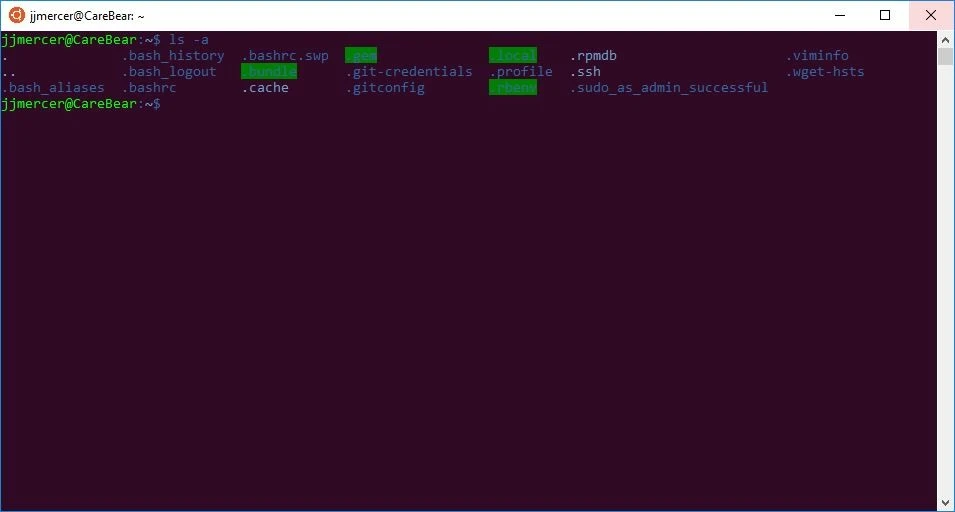 Terminal window output