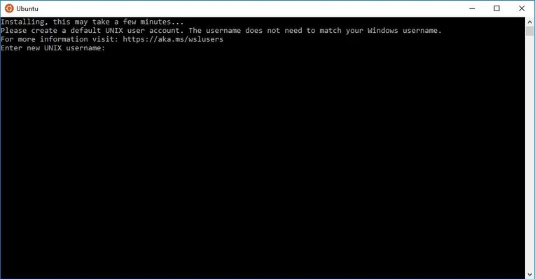 Command line promt to enter a username