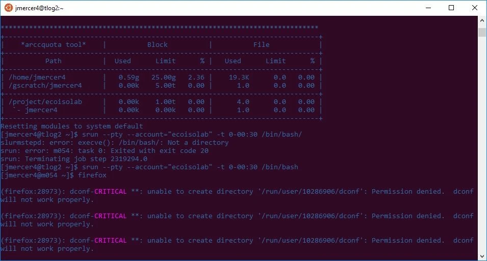 Terminal window listing critical errors