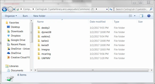 List of mapped network drives.