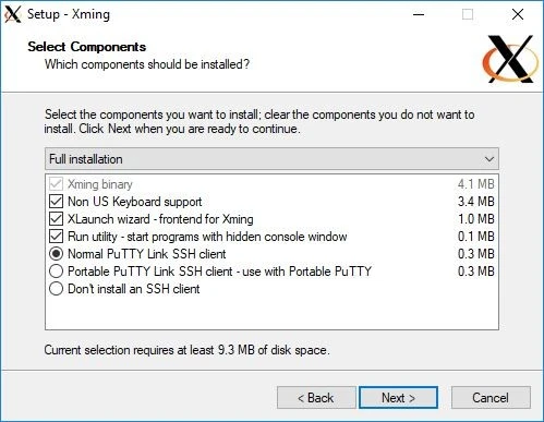 Setup panel for Xming