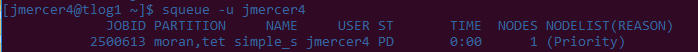 Terminal window showing the squeue command result