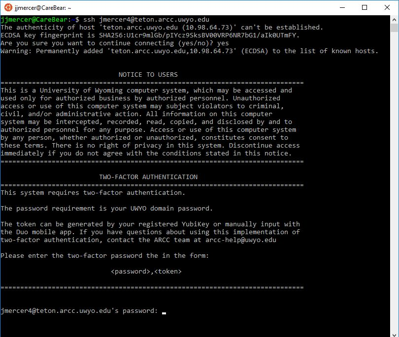 Linux terminal accessing teton