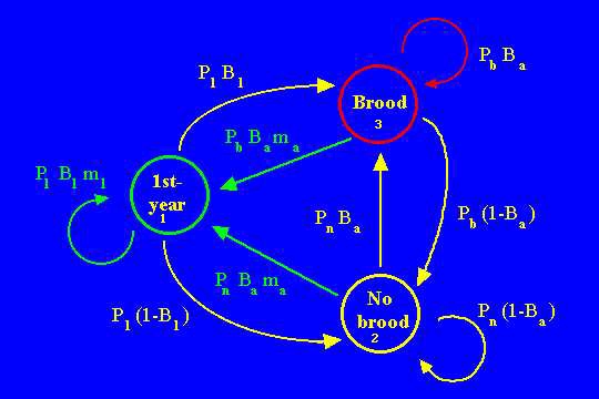 Fig. 14.2