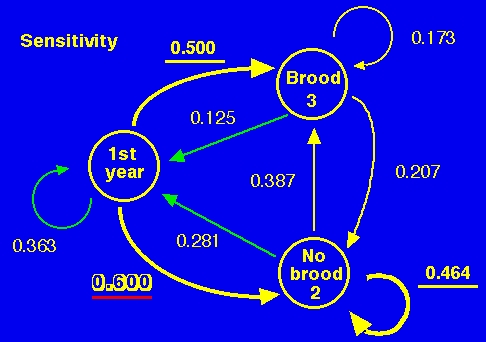 Fig. 14.5