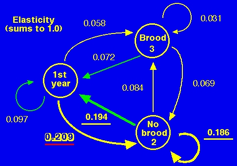 Fig. 14.6