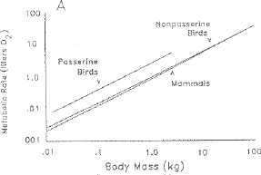 Fig. 8.5