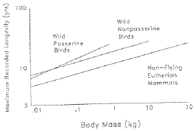 Fig. 8.6