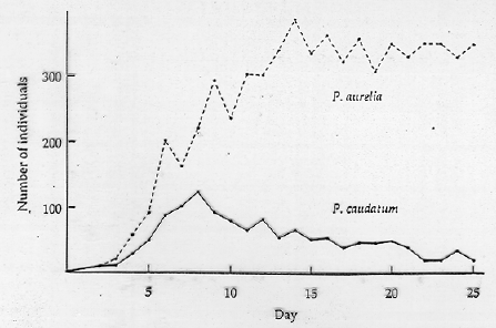 Fig. 19.1