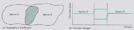 Fig. 19.3